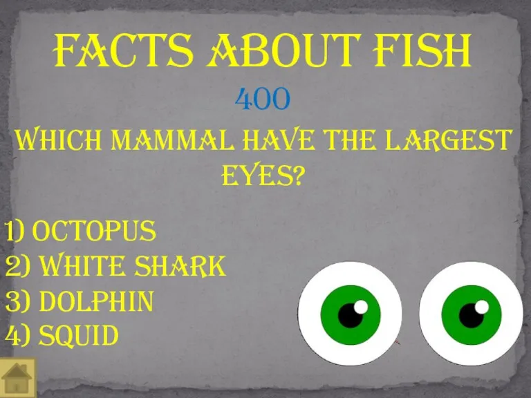 Which Mammal have the largest eyes? Facts about fish 400 1) Octopus 2)