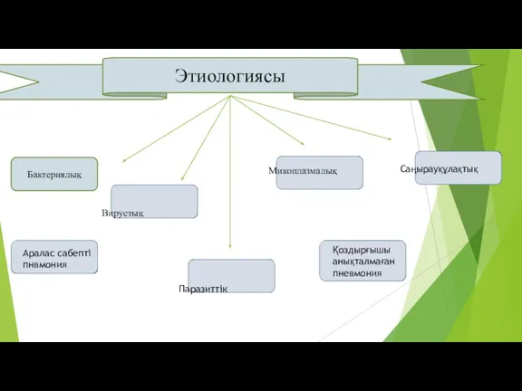 Этиологиясы Бактериялық Вирустық Микоплазмалық Саңырауқұлақтық Паразиттік Аралас сабепті пнвмония Қоздырғышы анықталмаған пневмония
