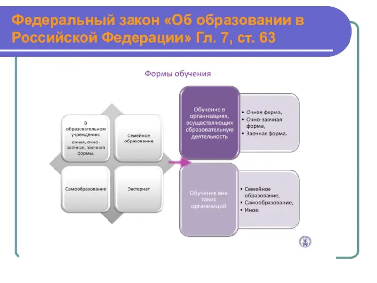 Федеральный закон «Об образовании в Российской Федерации» Гл. 7, ст. 63