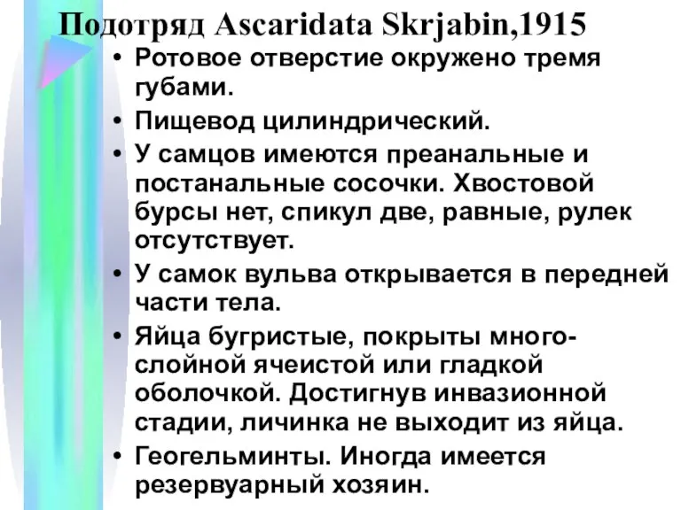 Подотряд Ascaridata Skrjabin,1915 Ротовое отверстие окружено тремя губами. Пищевод цилиндрический.