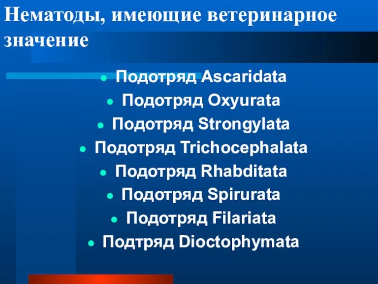 Нематоды, имеющие ветеринарное значение Подотряд Ascaridata Подотряд Oxyurata Подотряд Strongylata