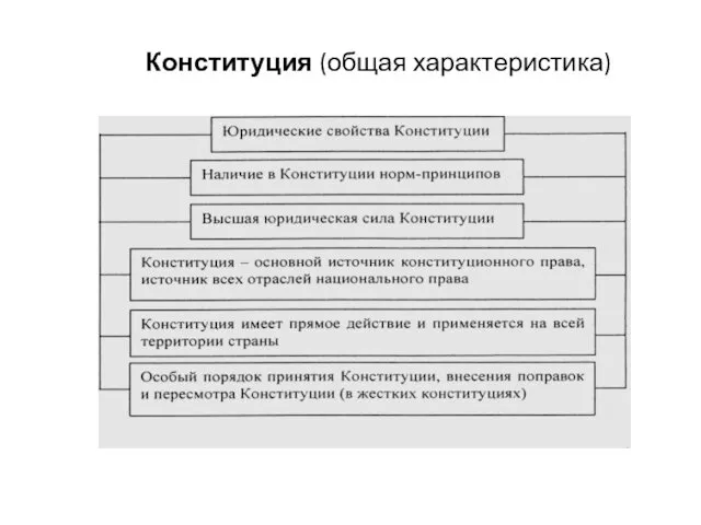 Конституция (общая характеристика)