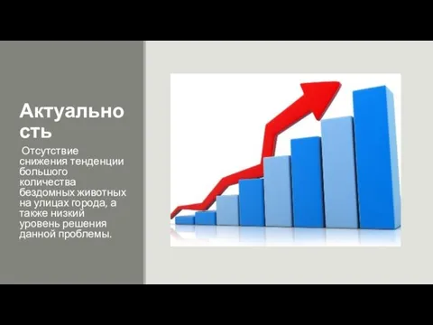 Актуальность Отсутствие снижения тенденции большого количества бездомных животных на улицах