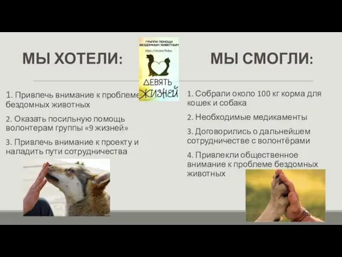 МЫ ХОТЕЛИ: 1. Привлечь внимание к проблеме бездомных животных 2.