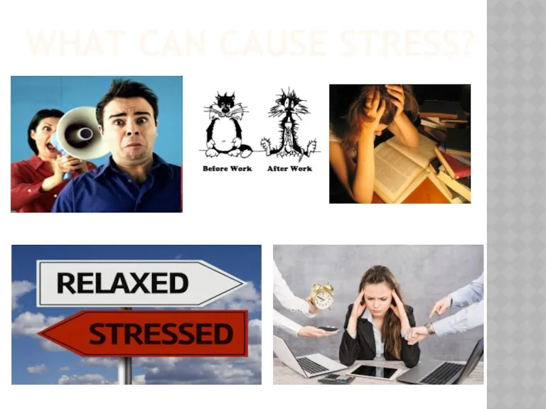 WHAT CAN CAUSE STRESS?