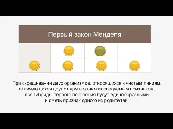 При скрещивании двух организмов, относящихся к чистым линиям, отличающихся друг