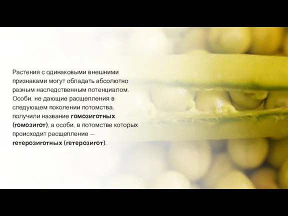 Растения с одинаковыми внешними признаками могут обладать абсолютно разным наследственным