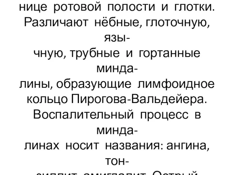 Миндалины-скопления лимфоид- ной ткани, расположенные на гра- нице ротовой полости