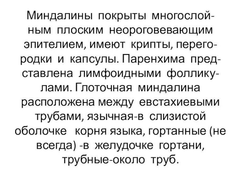 Миндалины покрыты многослой- ным плоским неороговевающим эпителием, имеют крипты, перего-