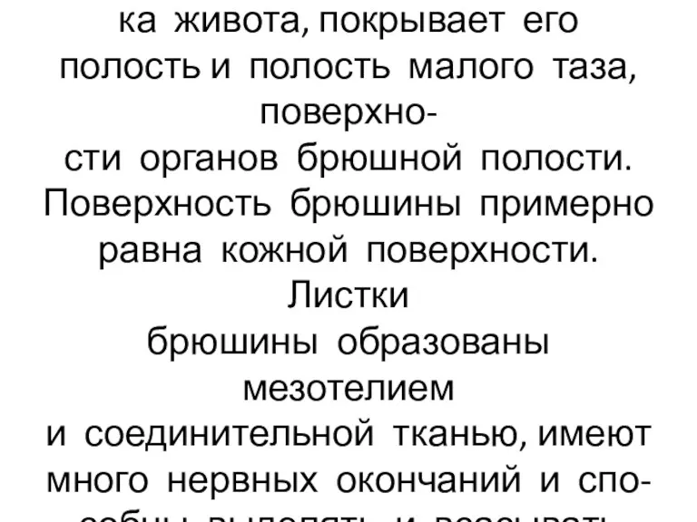 Брюшина-тонкая серозная оболоч- ка живота, покрывает его полость и полость