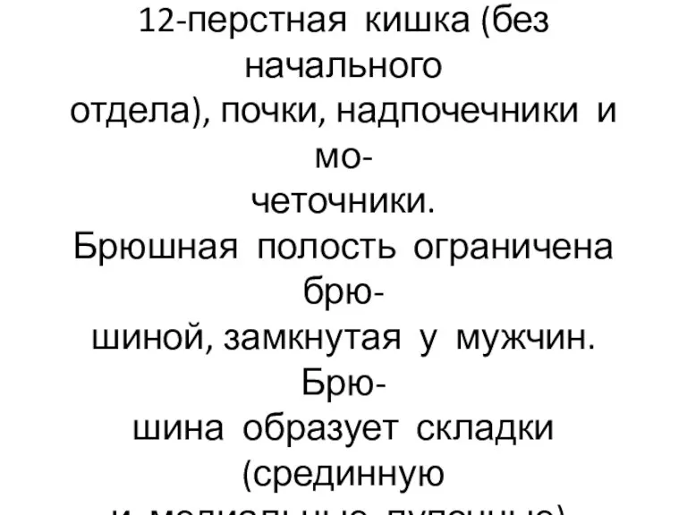 Ретроперитонеально расположены поджелудочная железа(без хвоста), 12-перстная кишка (без начального отдела),