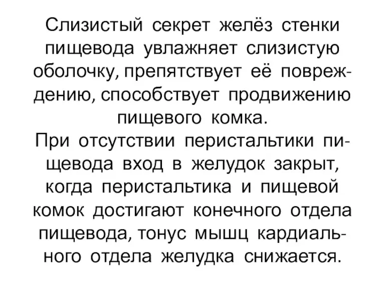 Слизистый секрет желёз стенки пищевода увлажняет слизистую оболочку, препятствует её