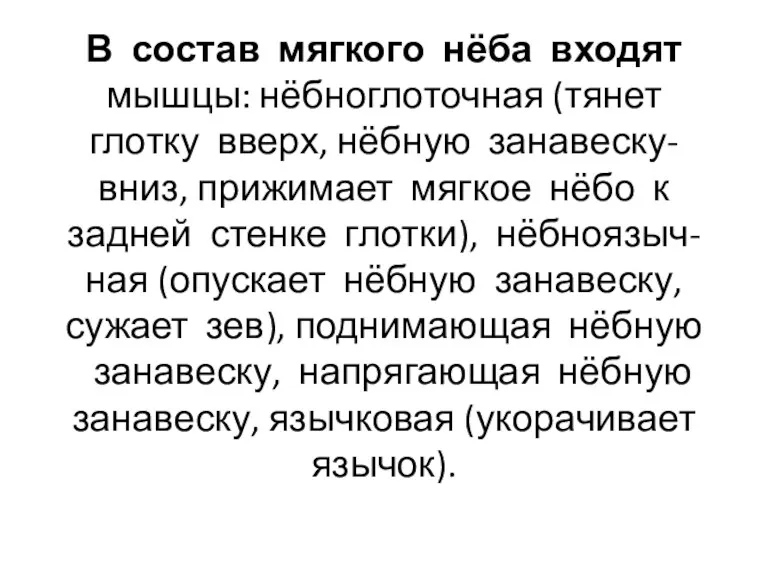 В состав мягкого нёба входят мышцы: нёбноглоточная (тянет глотку вверх,