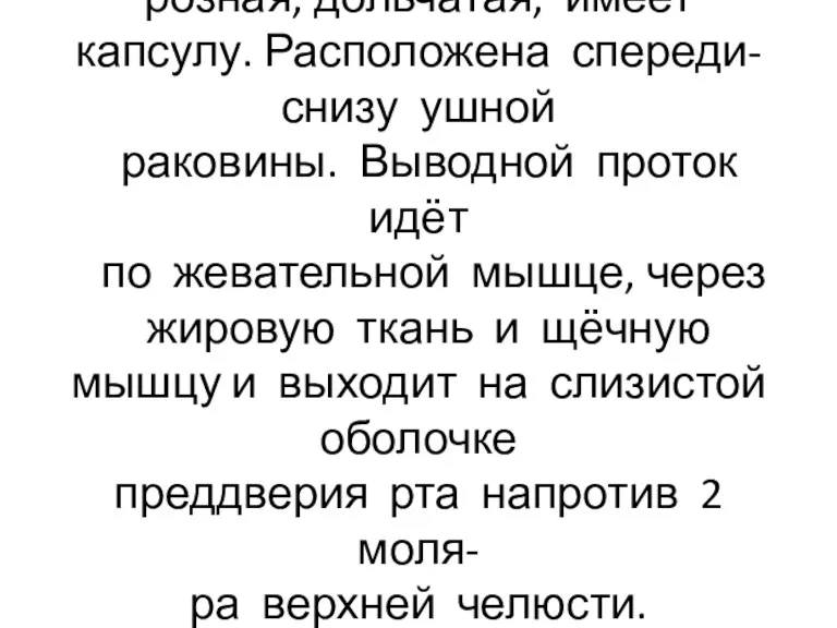 Околоушная железа: крупная, се- розная, дольчатая, имеет капсулу. Расположена спереди-снизу