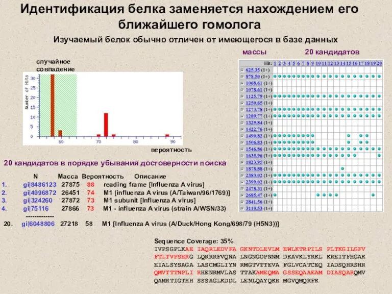 N Масса Вероятность Описание gi|8486123 27875 88 reading frame [Influenza