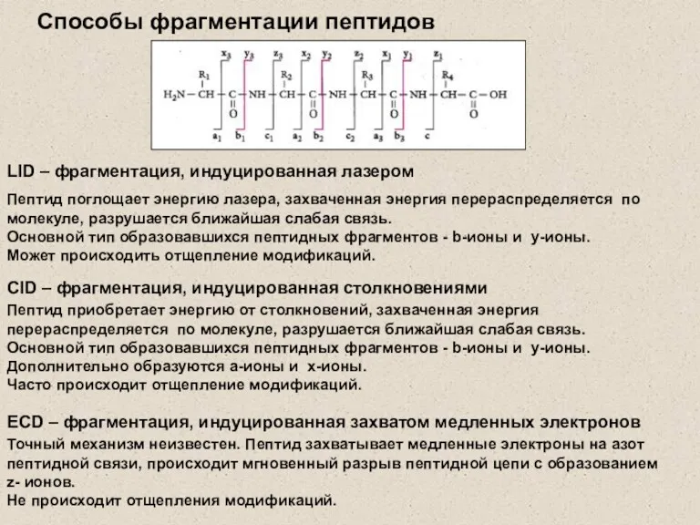 Способы фрагментации пептидов LID – фрагментация, индуцированная лазером CID –