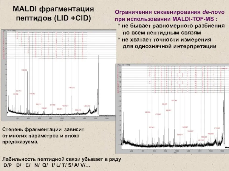 Лабильность пептидной связи убывает в ряду D/P D/ E/ N/