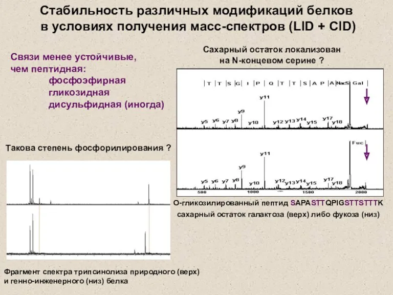 О-гликозилированный пептид SAPASTTQPIGSTTSTTTK сахарный остаток галактоза (верх) либо фукоза (низ)