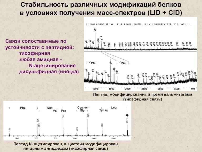 Стабильность различных модификаций белков в условиях получения масс-спектров (LID +