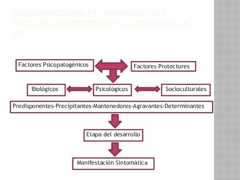 Factores Psicopatogénicos Factores Protectores Biológicos Psicológicos Socioculturales Predisponentes-Precipitantes-Mantenedores-Agravantes-Determinantes Etapa del