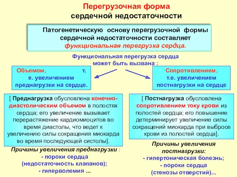 Перегрузочная форма сердечной недостаточности Патогенетическую основу перегрузочной формы сердечной недостаточности