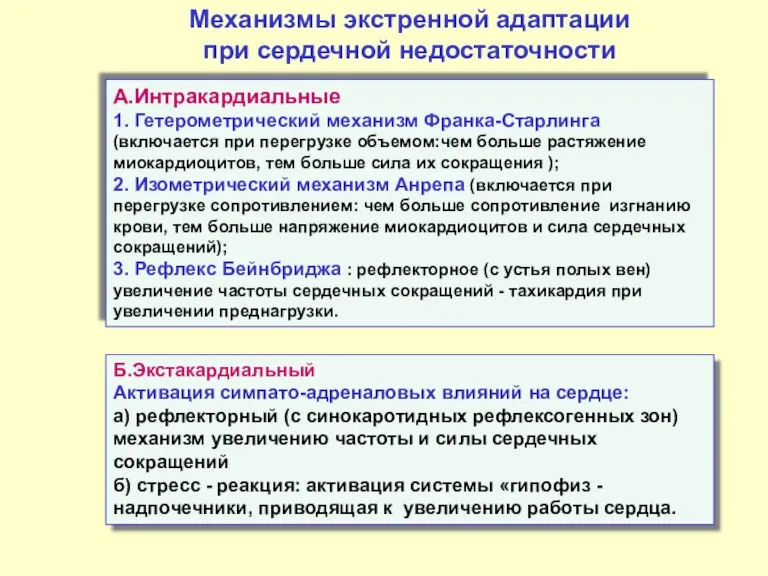 Механизмы экстренной адаптации при сердечной недостаточности А.Интракардиальные 1. Гетерометрический механизм