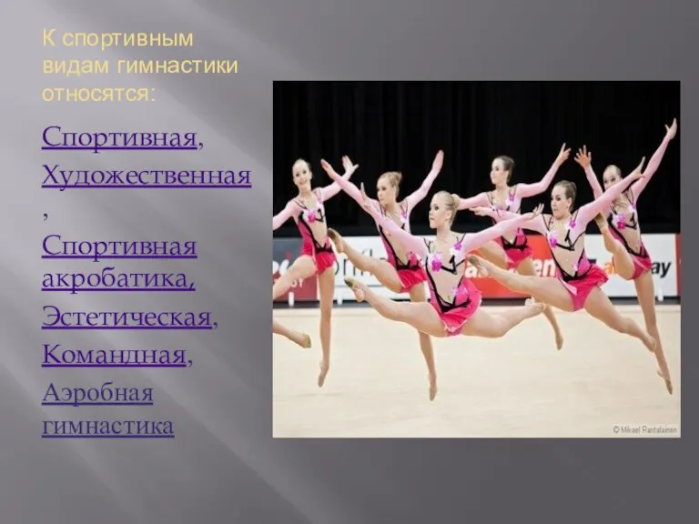 К спортивным видам гимнастики относятся: Спортивная, Художественная, Спортивная акробатика, Эстетическая, Командная, Аэробная гимнастика