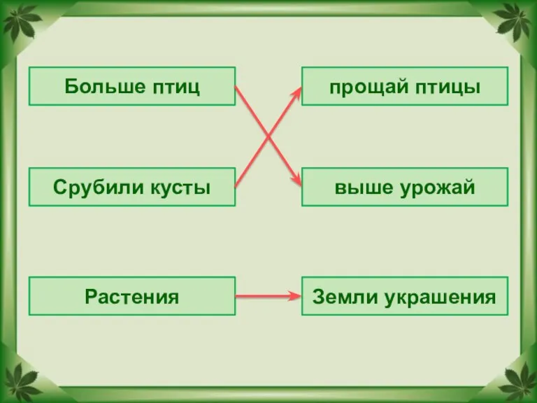 Больше птиц Срубили кусты Растения Земли украшения выше урожай прощай птицы