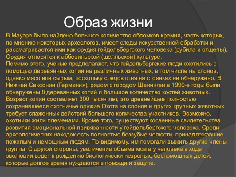 Образ жизни В Мауэре было найдено большое количество обломков кремня,