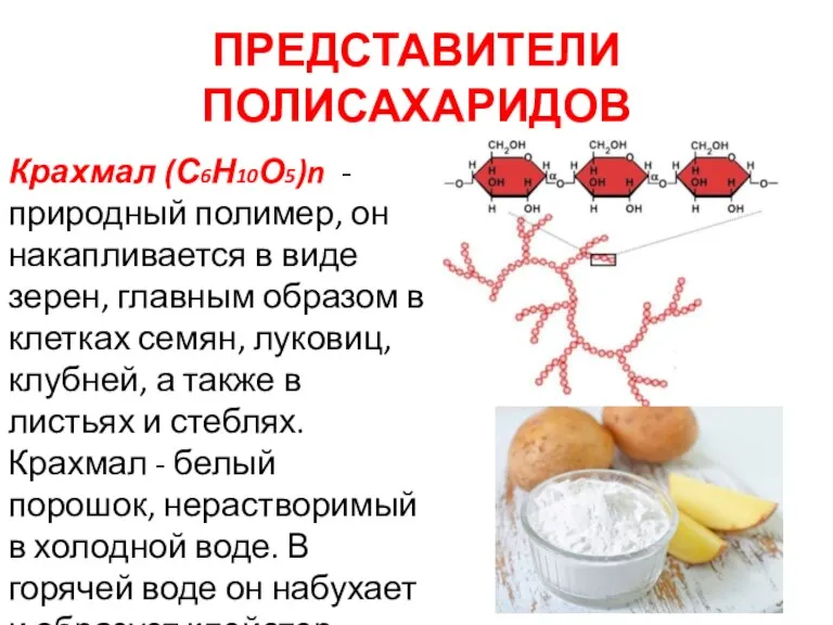 ПРЕДСТАВИТЕЛИ ПОЛИСАХАРИДОВ Крахмал (С6Н10О5)n - природный полимер, он накапливается в