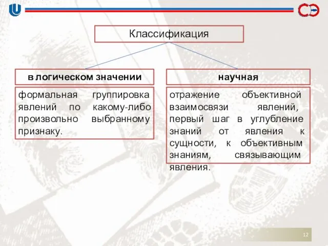 Классификация в логическом значении научная формальная группировка явлений по какому-либо