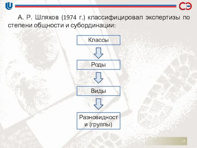 А. Р. Шляхов (1974 г.) классифицировал экспертизы по степени общности