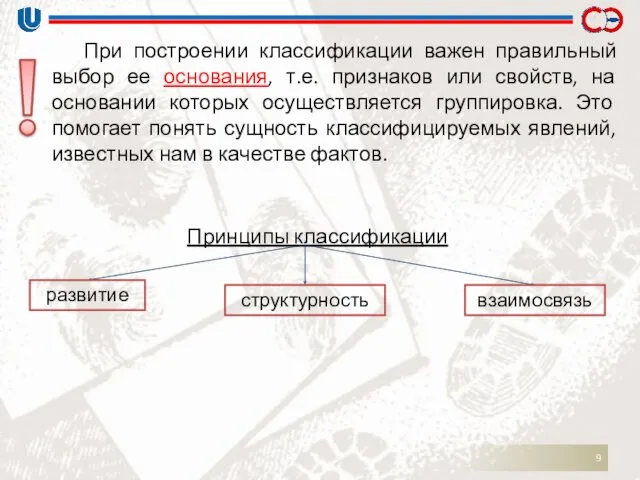 Принципы классификации При построении классификации важен правильный выбор ее основания,