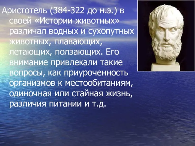Аристотель (384-322 до н.э.) в своей «Истории животных» различал водных