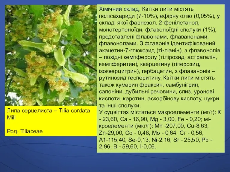 Липа серцелиста – Tilia cordata Mill Род. Tiliaceae Хімічний склад.