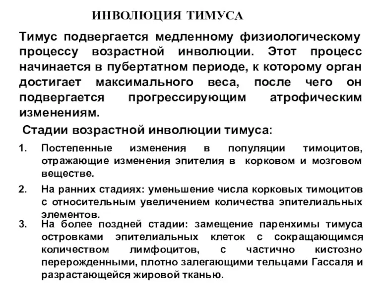 ИНВОЛЮЦИЯ ТИМУСА Тимус подвергается медленному физиологическому процессу возрастной инволюции. Этот