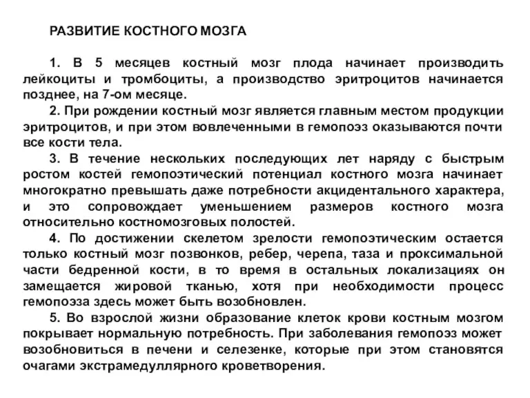 РАЗВИТИЕ КОСТНОГО МОЗГА 1. В 5 месяцев костный мозг плода