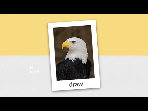 draw