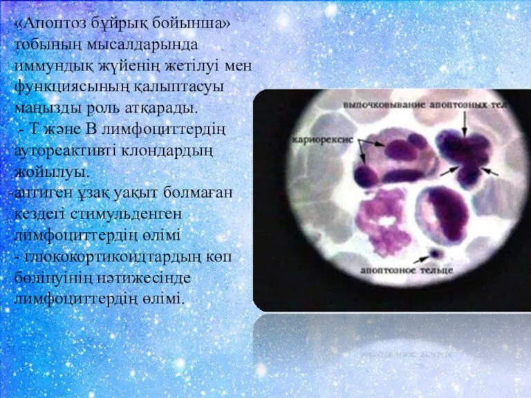 «Апоптоз бұйрық бойынша» тобының мысалдарында иммундық жүйенің жетілуі мен функциясының