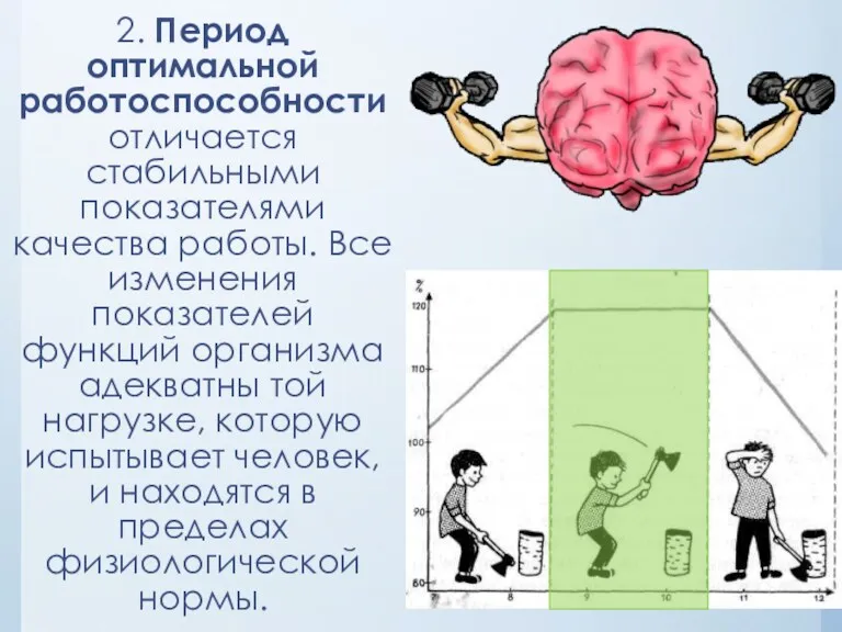 2. Период оптимальной работоспособности отличается стабильными показателями качества работы. Все