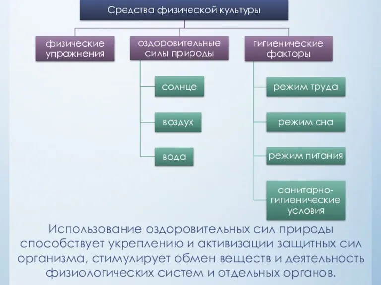 Использование оздоровительных сил природы способствует укреплению и активизации защитных сил