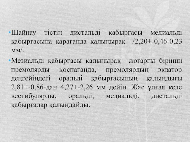 Шайнау тістің дистальді қабырғасы медиальді қабырғасына қарағанда қалыңырақ /2,20+-0,46-0,23 мм/.