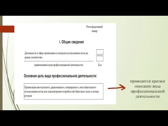 приводится краткое описание вида профессиональной деятельности