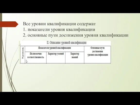 Все уровни квалификации содержат 1. показатели уровня квалификации 2. основные пути достижения уровня квалификации