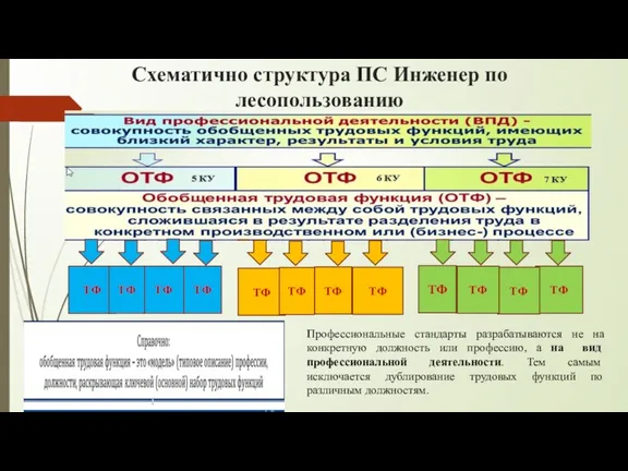 Схематично структура ПС Инженер по лесопользованию ТФ ТФ ТФ ТФ ТФ ТФ ТФ