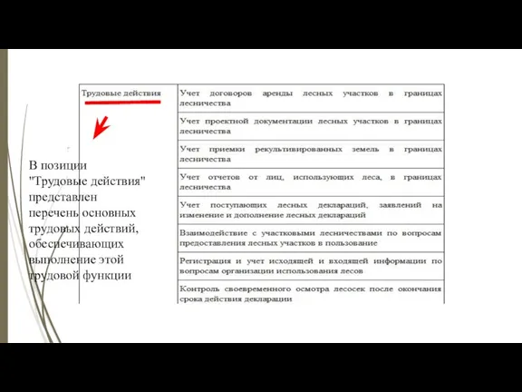 В позиции "Трудовые действия" представлен перечень основных трудовых действий, обеспечивающих выполнение этой трудовой функции