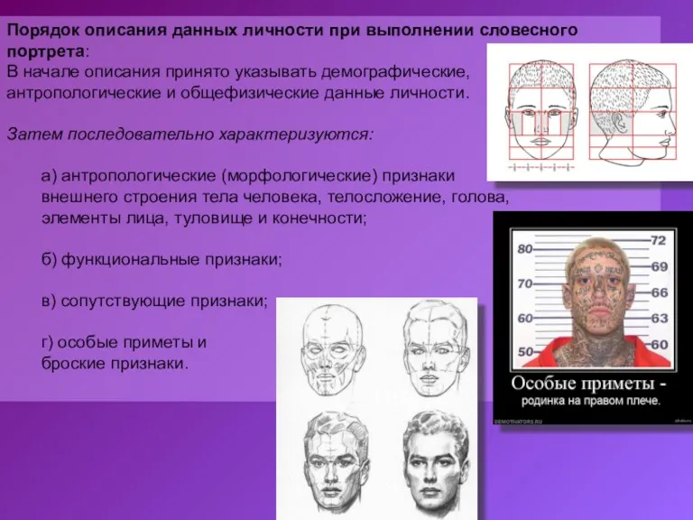 Порядок описания данных личности при выполнении словесного портрета: В начале