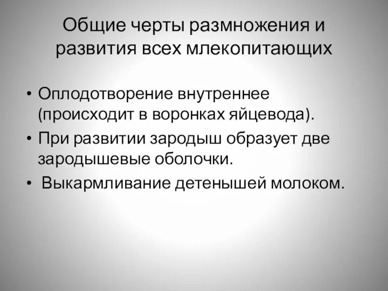 Общие черты размножения и развития всех млекопитающих Оплодотворение внутреннее (происходит в воронках яйцевода).