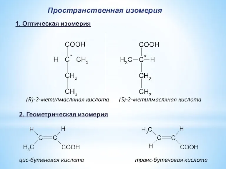 (R)-2-метилмасляная кислота (S)-2-метилмасляная кислота цис-бутеновая кислота транс-бутеновая кислота Пространственная изомерия 1. Оптическая изомерия 2. Геометрическая изомерия
