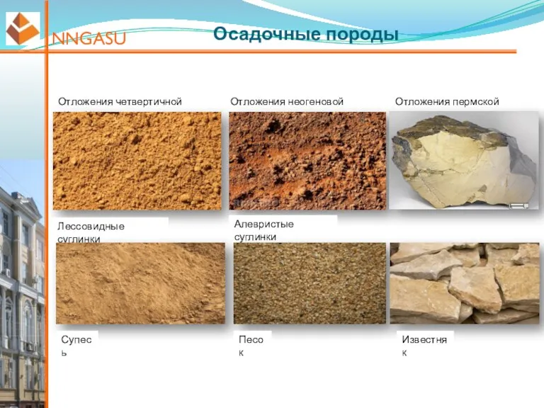 NNGASU Осадочные породы Отложения четвертичной системы Отложения неогеновой системы Отложения